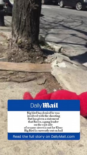 #elmo #seasamestreet #gang #gangster #bigbird #shot #recovery #rocco