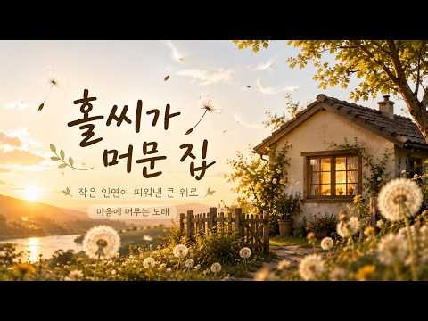 🌼 홀씨가 머문 집 | 마음에 오래 머무는 따뜻한 위로의 노래