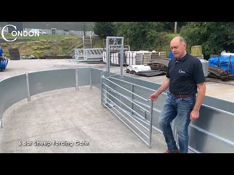 Sheep Handling System | Condon Engineering