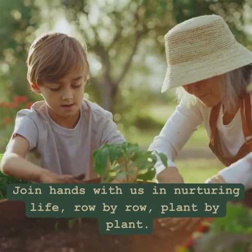 Hibiscus Moschetos | Swamp Rose Mallow | Starter Plant Plug | Hardy Hibiscus | Live Plant | Native Wildflower | Woody-based Perennial - Etsy