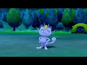 Alolan Meowth In Camp - Pokemon Sword & Shield
