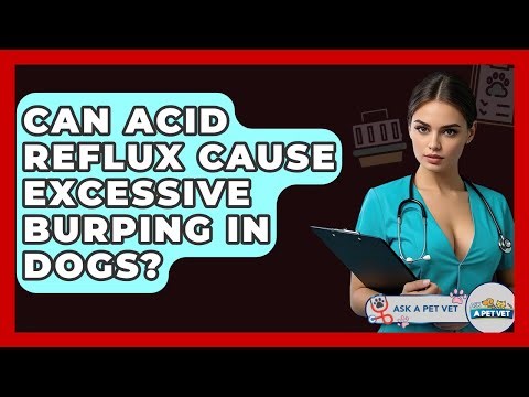 Can Acid Reflux Cause Excessive Burping In Dogs? - Ask A Pet Vet