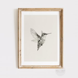 Hummingbird Sketch Wall Art | Vintage Bird Nursery Print | Antique Bird Illustration | Neutral Minimalist Wall Decor Printable | P123 - Etsy