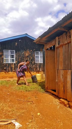 Celebrating Wangari Maathai's Legacy