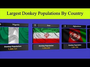 Largest Donkey Populations By Country