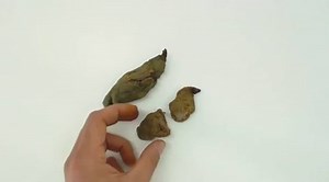 How to Poop false to your pranks