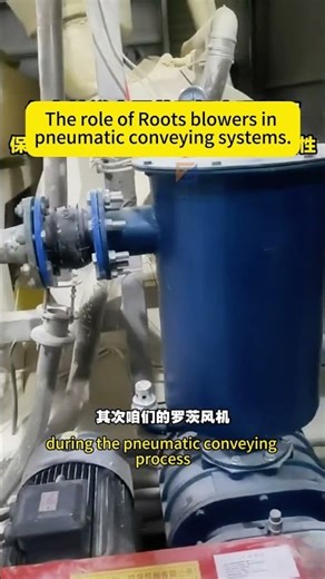 The role of Roots blowers in pneumatic conveying systems. #rootsblower #aquaculture