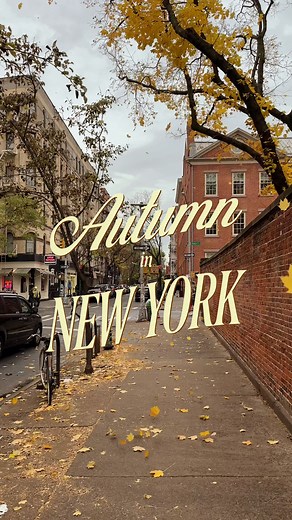 Autumn in New York: Golden Streets of Manhattan
