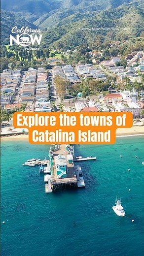 The Best Spots in Avalon and Two Harbors on Catalina Island #shorts