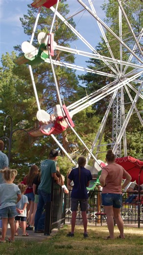 112 reactions · 20 shares | Come visit us at Funland! Zoo guests will receive 6 free Funland ride tickets with their paid admission receipt July 4th - July 8th. #funland #ifzoo #idahofallszoo #visitidaho #eliwheel #carousel #idahofalls #eastidaho #4thofjuly | Idaho Falls Zoo | Facebook