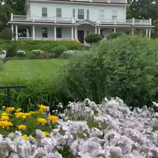 Beekman 1802 Farm is waving good morning to you | Beekman 1802 Boys