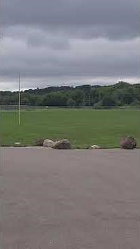 skyviper vector stunt plane