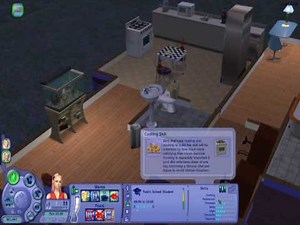 Sims 2 Hidden Cheat