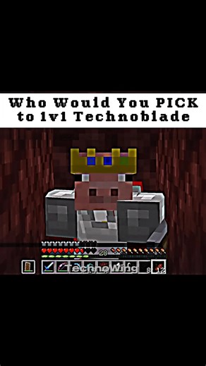 ‪@Technoblade‬ Vs You || #shorts #minecraft #fyp