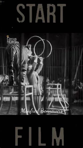 Historical images of the Cirkus Benneweis - Manfred Benneweis with the tigers (1952)
