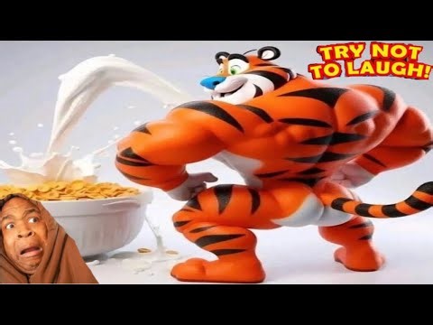 EXTREME TRY NOT TO LAUGH DARK HUMOUR EDITION #2 (3 HOUR Compilation )