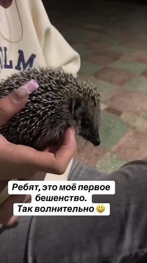 Минуты славы: Как мама снимает видео