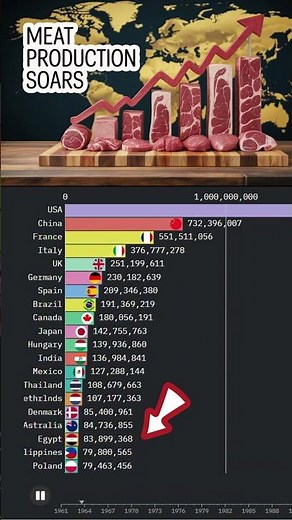 The Rise of Meat 1961 to 2023