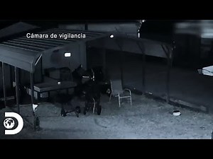 Los momentos más trágicos en el programa | Mirada Policial | Discovery Latinoamérica