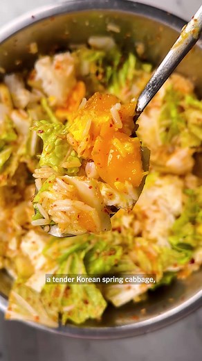 This Korean recipe centers around spring cabbage, bomdong, but Eric Kim's bibimbap recipe can put the inner leaves of the napa cabbage you have on hand to use, too! Get this free Bomdong Bibimbap (Spring Cabbage, Rice and Eggs) recipe now at the link in our bio. (Video by @carolinagelen)