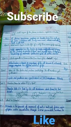 chapter 5 science class 9 Exercise questions answer