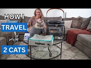 How I Travel with 2 Cats (10+ Hour Car Ride) | Tips & Must-Have Products for Road Trips