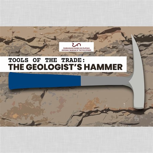 Stop! Hammer Time! 🪨🔨 A tool which has helped break countless scientific barriers—the humble hammer! Learn more about this amazing tool that has helped uncover the most important geological discoveries in today's #NMNHFieldNotes! The hammer that most geologists always keep handy in the field does more than break rocks. In the Philippines, this hammer is usually called the sample pick. It comes in a variety of sizes depending on the user’s preference. It is mainly used to obtain fresh rock samp