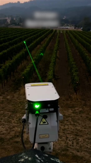 Move over scarecrows... this vineyard has a laser to scare away the birds 🤯🍇 | UNILAD Tech