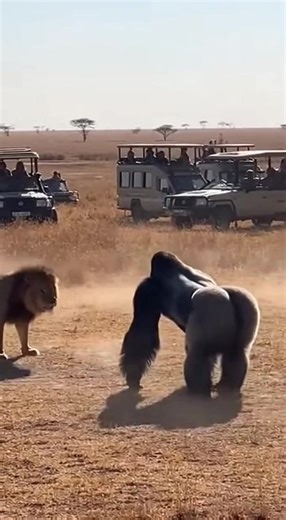 The Fun Factor on Reels