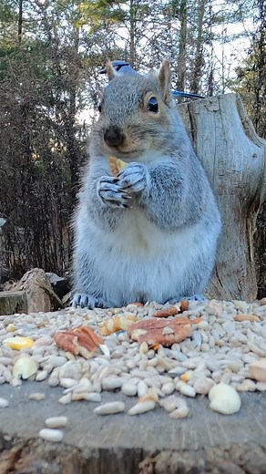 2.8K views · 357 reactions | Quality Control is Strict! Thank You,...