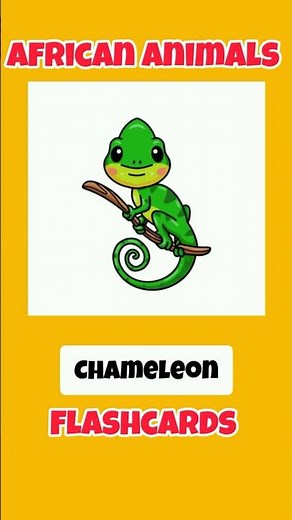African Animals names with pictures #shorts | animals flashcards