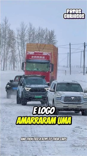 ❄️ HERÓIS NA NEVE! O NOBRE ATO DESSES GAROTOS MUDARAM O DIA DESSE CAMINHONEIRO 🚛✨