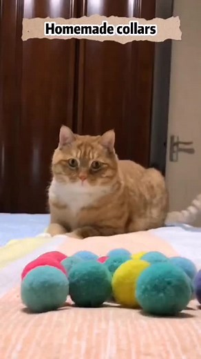 DIY Homemade Collars for Cats