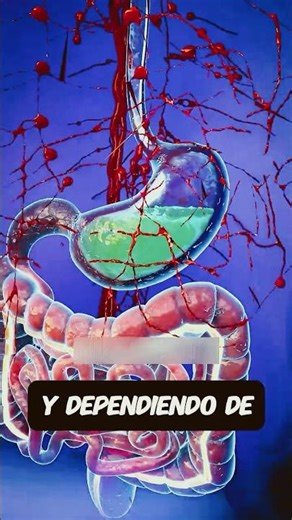 Así se absorben las pastillas en tu cuerpo 😱💊 (¡No lo sabías!) #shorts #cuerpo humano explicacion