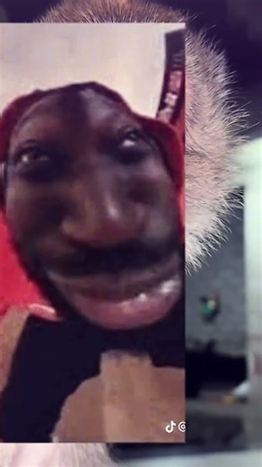 buaya 🐊#dj #shorts #jj #meme