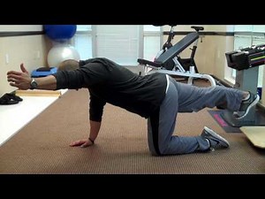 Bird Dog Exercises