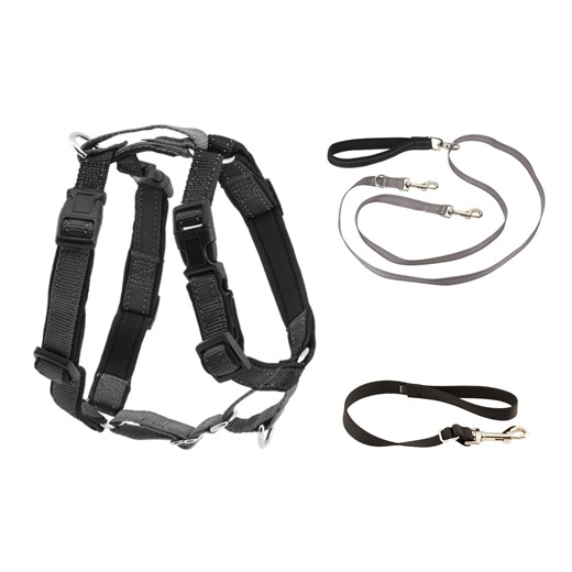 PetSafe 3 in 1 Harness with Two Pointe Control Dog Leash, Black, Medium | Petco