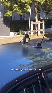 194K views · 6.5K reactions | #2 Chippy Ticket Counting down top vids of 2021 | Mr Sam Cotton | Facebook