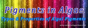 Pigments in Algae | EasyBiologyClass