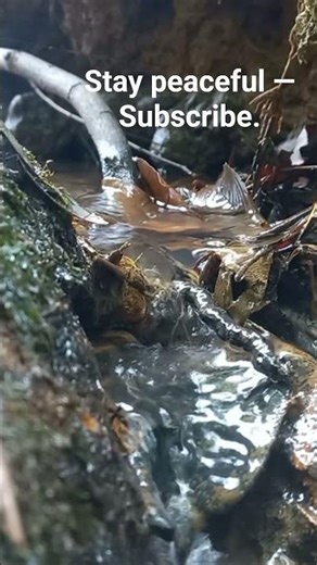 Stress Relief River Flow