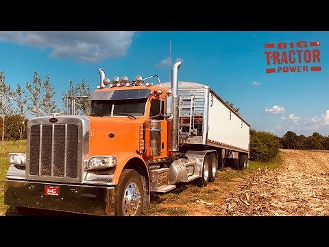 Peterbilt 389 Truck Moving the Corn Harvest 1,000 bu. at a Time