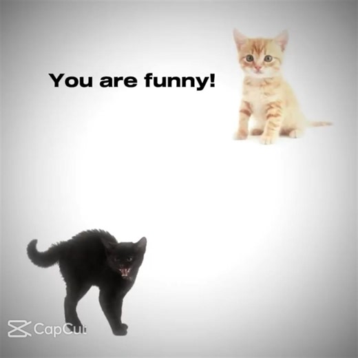 this too cute |#makemefamous #viral #fypシ #fypage #noflop #notmine #capcut #repost #duo #cute