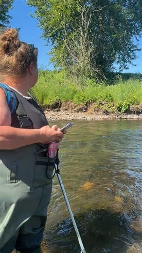 The moment I spotted something HUGE across the river.