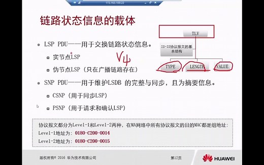 03-ISIS与OSPF的区别