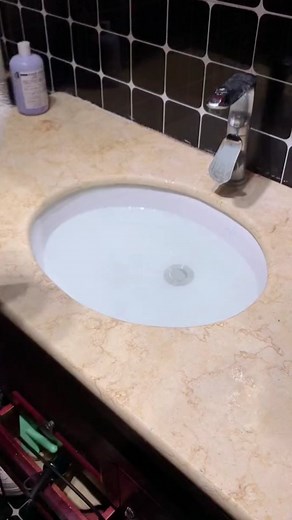 Grooming a Fluffy White Pomeranian: Bath & Style