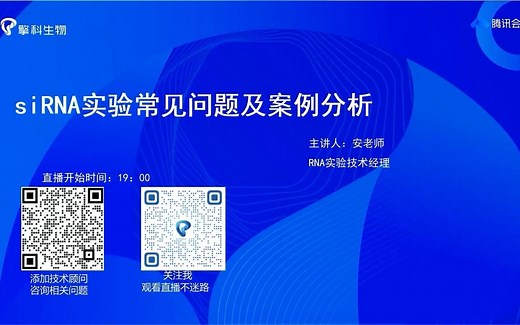 siRNA实验常见问题及案例分析