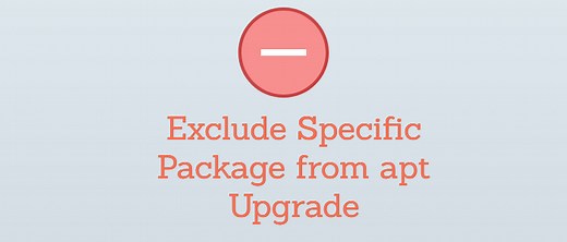 How to Exclude Specific Package from apt Upgrade