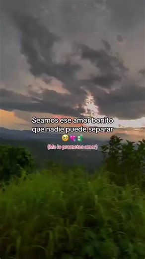 Videos de 👑🐸 Jefferson- JR 🐸👑 (@jefferson_jr_oficiaal) con “sonido original - 👑🐸 Jefferson- JR 🐸👑”