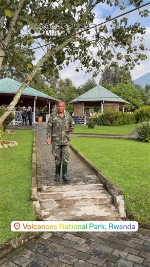 Explore the Natural Beauty of Rwanda: Gorilla Trekking Adventures