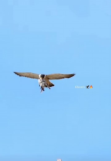 حسابات مقترحة